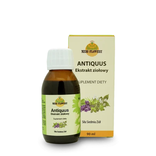 antiquus_isolated001_2026_web.webp